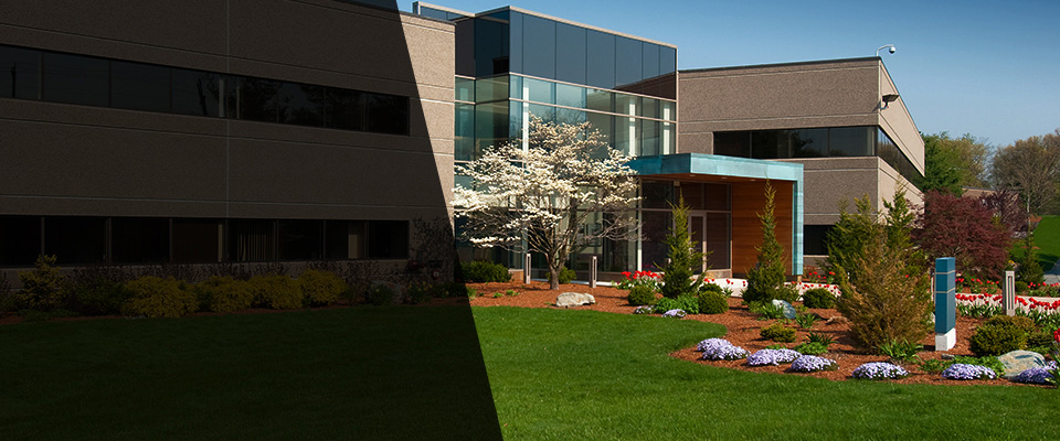 Alma Landscapers