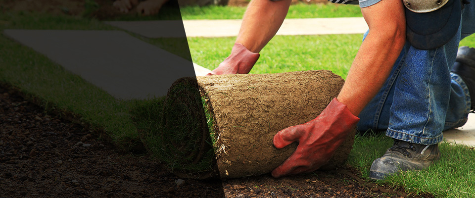 Alma Landscapers